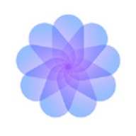 野花日本视频高清8下载