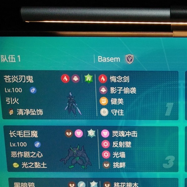 宝可梦朱紫双打洛克人怎么玩配置教学