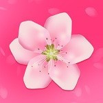 黄瓜视频丝瓜视频草莓视频秋葵视频最新版